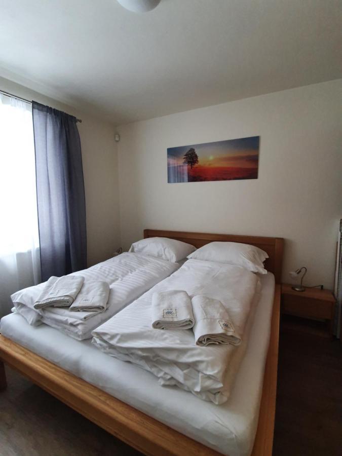 Apartman Praded V Rickach - Ricky V Orlickych Horach Eksteriør billede